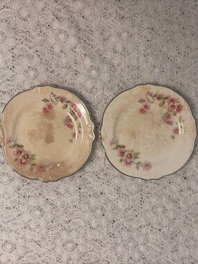 VTG Homer Laughlin Virginia Rose Dessert Plates Scalloped Edge Crazed Pair